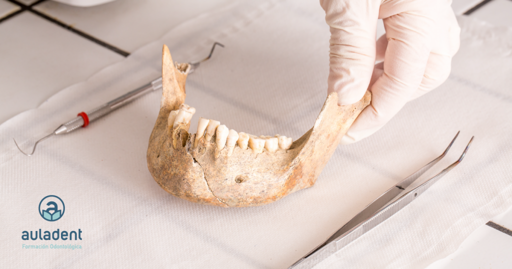 Dónde estudiar odontología legal y forense