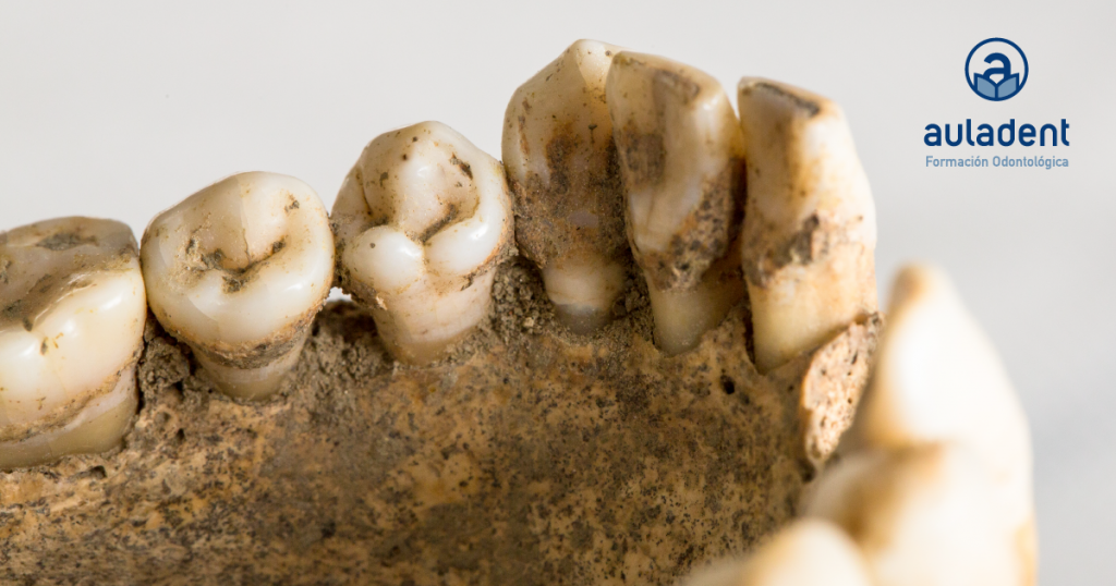 Cursos y salidas laborales de la Odontología Forense en España
